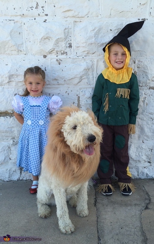 Wizard of Oz Costume