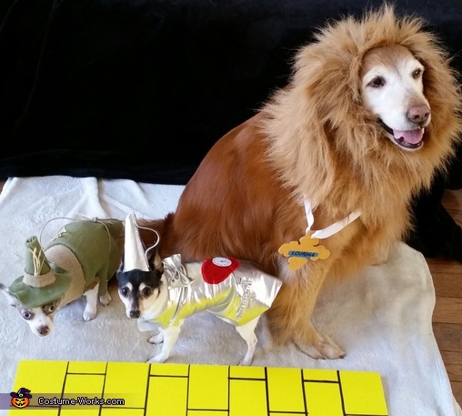 Wizard of Oz Dogs Costume