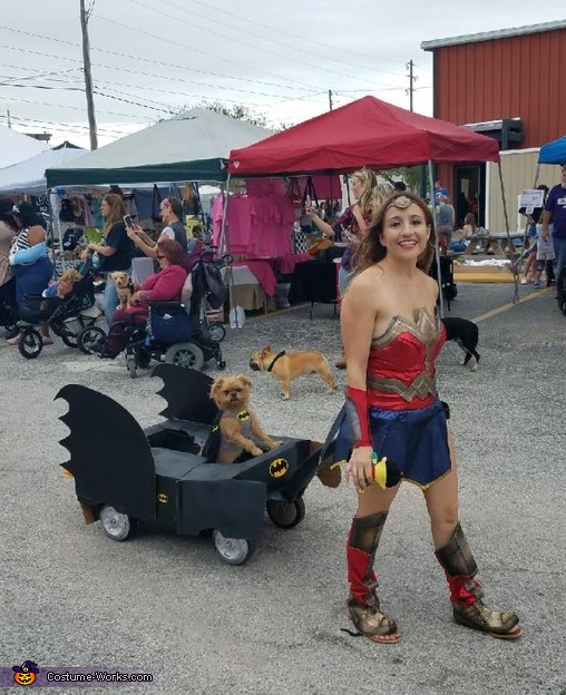 Wonder Woman and Batman Costume