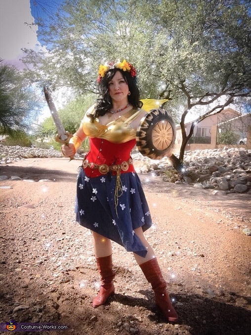 Wonder Woman Fairy Costume