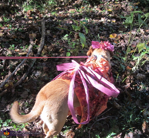 Woodland Fairy Dog Costume