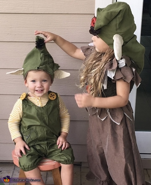 Woodland Gnomes Costume
