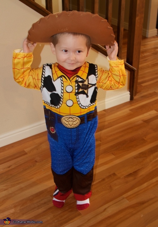 Toy Story Woody Costume