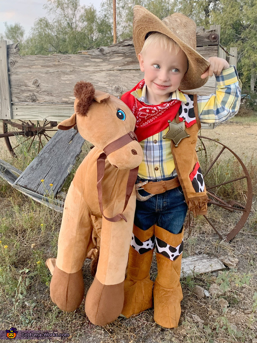 Woody and Bullseye Costume