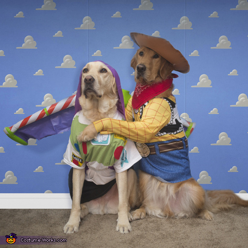 Woody & Buzz Dog Edition Costume