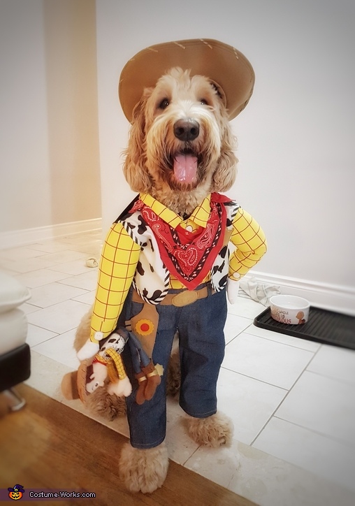 woody costume for dog