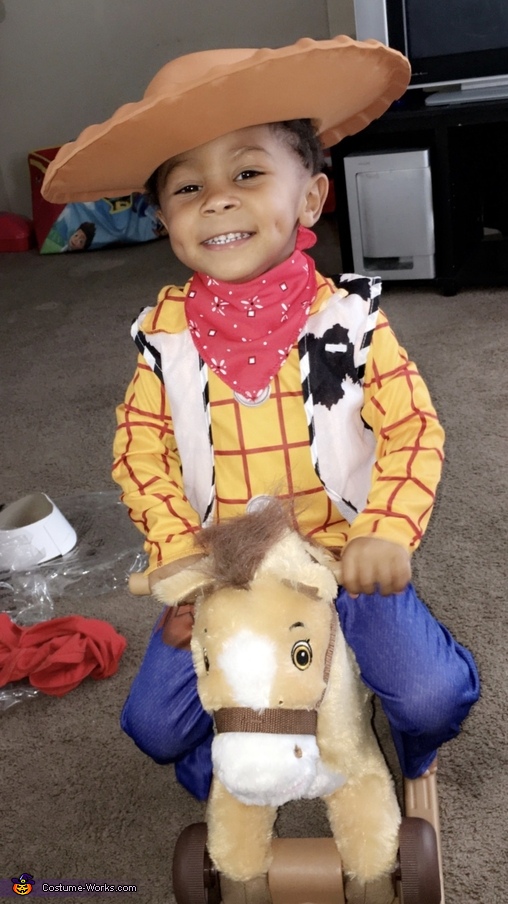 Woody The Cowboy Costume