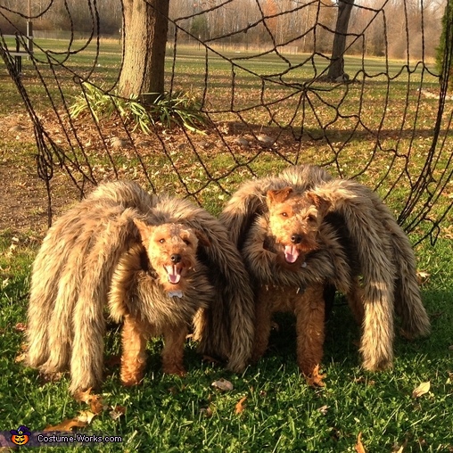 Woof Spiders Costume