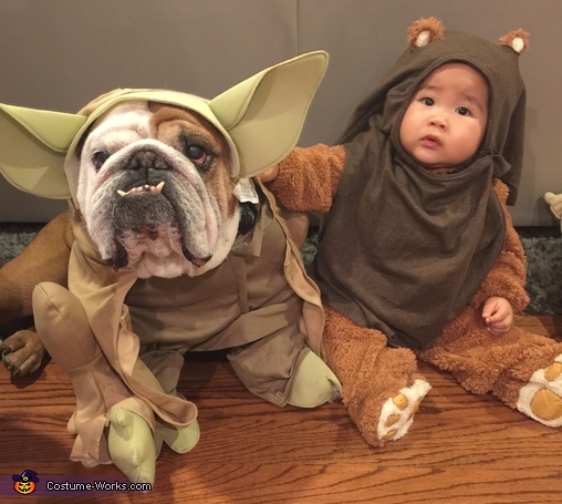 Yoda Ewok Baby Costume - Diy Toddler Ewok Costume