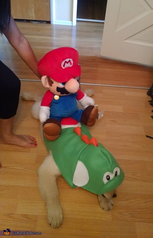 Mario and Yoshi Costume, Unique DIY Costumes