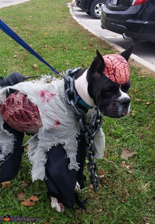 Zombie Dog Costume