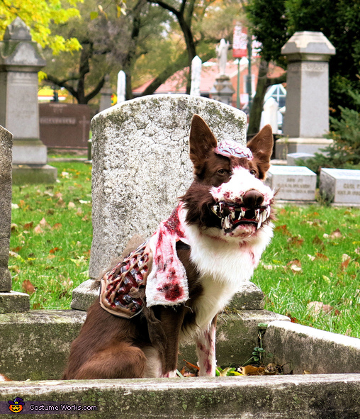 Zombie Dog Costume