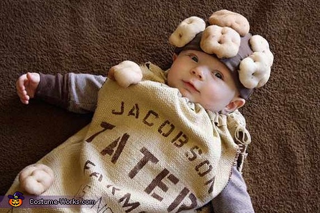 36 Cutest Homemade Halloween Costumes for Babies