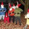 A Garden of Gnomes Group Costume | DIY Costumes Under $65