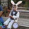 Photo #2 - Hudson as the White Rabbit