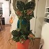 Photo #4 - Back of Audrey II costume