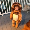 Photo #1 - Baby Lion
