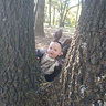 Photo #2 - Climbing trees