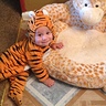 Photo #2 - Baby Tiger