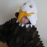 Photo #2 - Bald Eagle