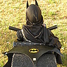 Photo #3 - Batmobile rear view