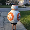 Photo #3 - BB8 back