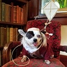 Photo #1 - Nugget as Ben Franklin