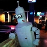Photo #2 - Bender Chilling at the Bar