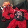 Photo #3 - Benny the Bull