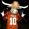 Photo #1 - Texas Longhorn Bevo