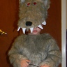 Photo #1 - Big Bad Wolf