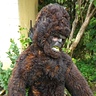 Photo #1 - Owen as bigfoot in the classic Patterson/Gimlin Pose