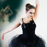 Photo #2 - Black Swan 