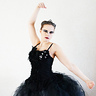 Photo #1 - Black Swan