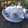 Photo #8 - Bowser shell primed