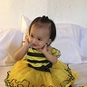 Photo #5 - Little honey-bee