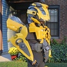 Photo #2 - Bumblebee Back View