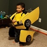 Photo #2 - Bumblebee