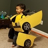 Photo #3 - Bumblebee