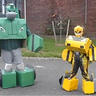 Photo #1 - Bumblebee and Bulkhead in robot mode