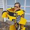 Photo #1 - Bumblebee Bot