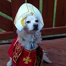 Photo #2 - Cardinal Cody thinking of a Halloween blessing to share