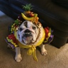 Photo #2 - Carmen Miranda