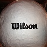 Photo #3 - Back of Wilson