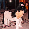 Photo #1 - Centaur