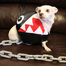 Photo #4 - Chain Chomp