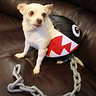 Photo #1 - Chain Chomp
