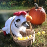 Chicken Head Dog Costume | Affordable Halloween Costumes