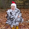 Photo #1 - Chicken Little
