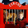 Photo #3 - Circus Ring Master & Lion